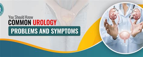 You Should Know Common Urology Problems And Symptoms