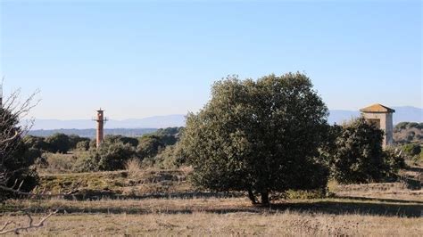 Pasen Y Vean A Los Vecinos De Pozuelo Como Se Interesan Por El Bosque