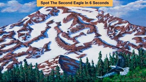 Only With Eagle Vision Can Spot The Second Eagle In The Optical