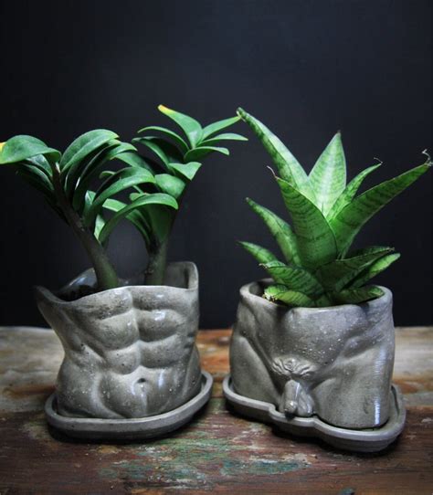 David Concrete Male Body Planter Pot Naked Body Bud Vase Concrete