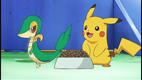 Pokemon Pikachu And Snivy