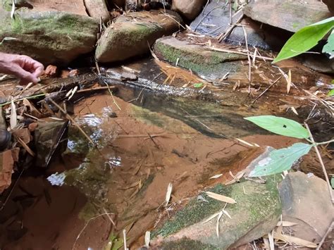 Rural Chácara Condomínio Parque Itaipu São Carlos R 4 300