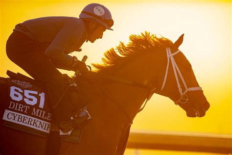 Pegasus World Cup 2023: Cyberknife’s And Proxy’s Race-Within-A-Race