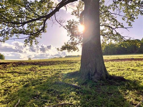 Barren County Jail Inmate Search and Arrest Records 19