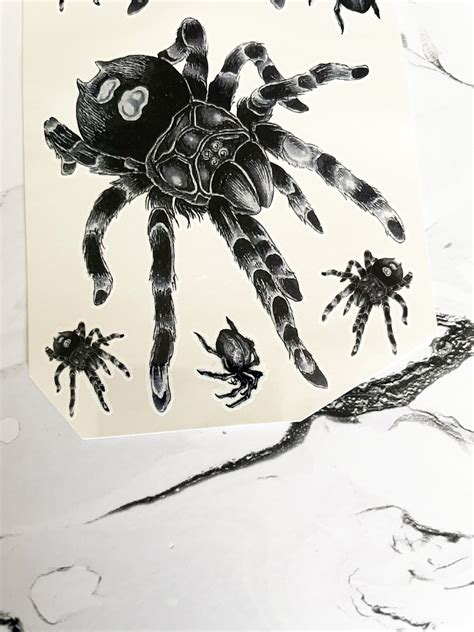 Spider Temporary Tattoo Set Etsy