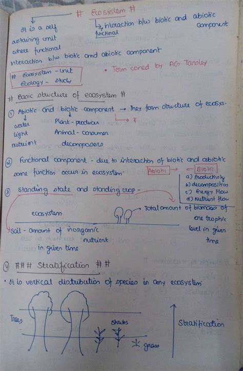 Chapter 14 Ecosystem Class 12 Biology Notes For Cbse Board And NEET