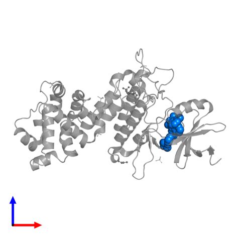 Pdb U R Gallery Protein Data Bank In Europe Pdbe Embl Ebi