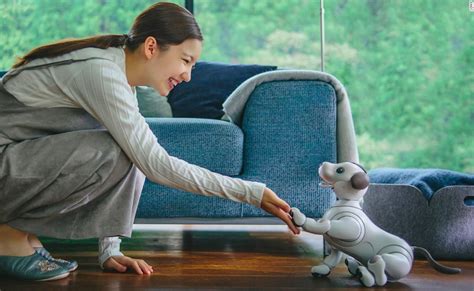 This Sony aibo Is a Cute Intelligent Dog Robot Pet