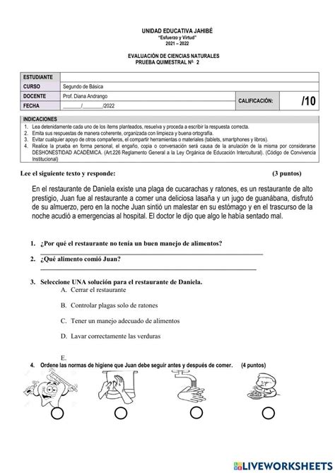 Segundo Online Exercise For Live Worksheets