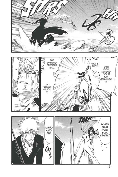 Ichigo Vs Grimmjow Final Fight