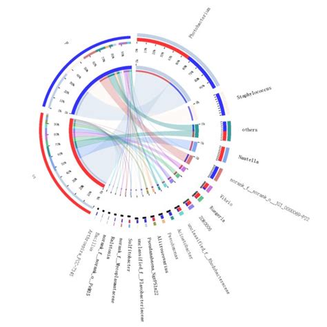 The Microbiota Composition At Genus Level Download Scientific Diagram