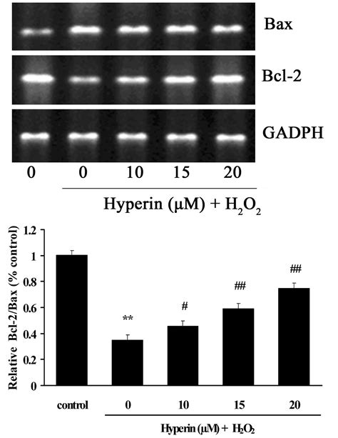 Protective Effects Of Hyperoside Against H2o2 Induced Apoptosis In