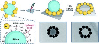 Gold Nanoparticle Ring Arrays From Coresatellite Nanostructures Made