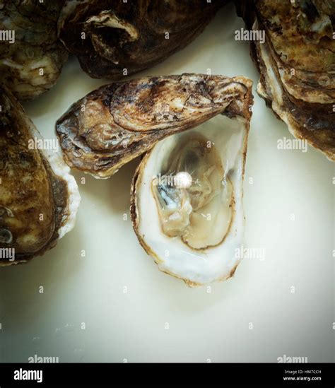 Pearl Inside Oyster Shell Stock Photo Royalty Free Image 132929121