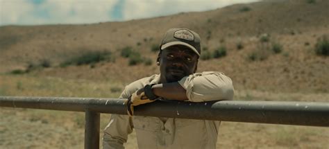 Carhartt Cap Worn By Daniel Kaluuya As Otis Jr Oj Haywood In Nope 2022