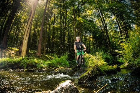 MTB im Thüringer Wald schönsten Touren für Mountainbiker