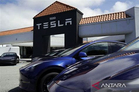 Rosan Listrik Berbasis Fosil Jadi Alasan Tesla Urung Investasi Di Ri