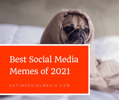 Best Social Media Memes of 2021