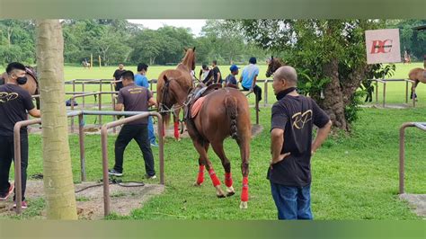 Royal Pahang Polo Club Youtube