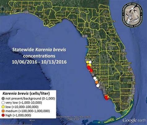 Red Tide Continues to Cause Problems in Sarasota, Pinellas and Manatee ...