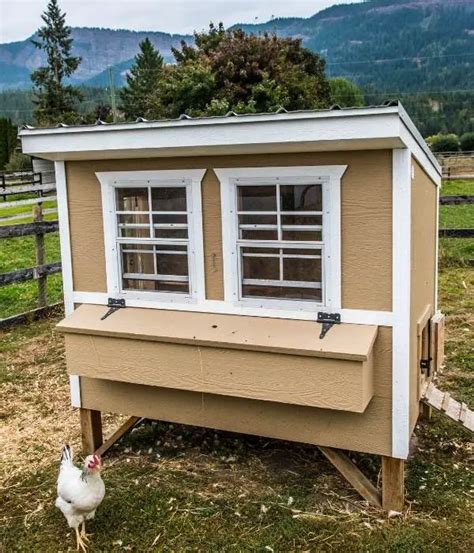 Chicken Coop Ventilation: Ideas, Design, Fans, & How To Guide