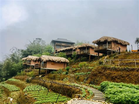 Tổng hợp 83+ về mô hình farmstay hay nhất - coedo.com.vn