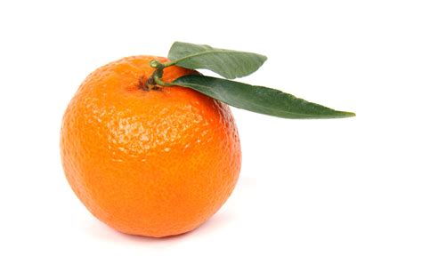 5 000 Free Mandarin Frugt Citrus Mandarin Images Pixabay