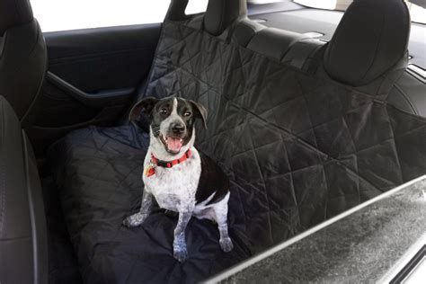 Rear Seat Pet Cover For Tesla Model 3 And Model Y Evannex Aftermarket