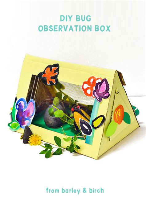 Make A DIY Bug Observation Box from Recycled Supplies