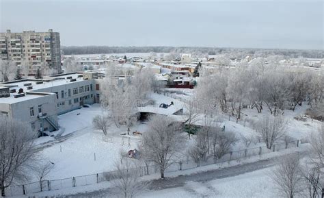 Trees and Houses in the Snow Top View Stock Image - Image of covered ...