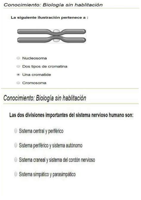 SOLUTION Ensayos De Ciencias Naturales Studypool