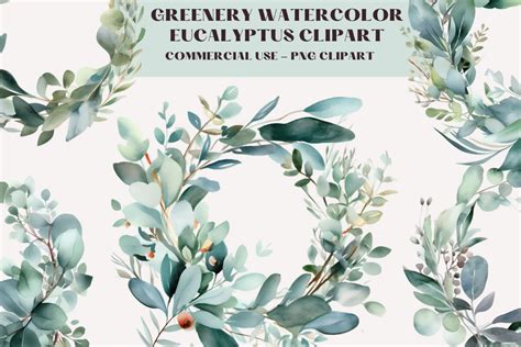 Greenery Watercolour Eucalyptus Clipart Graphic By Daphnekstudio