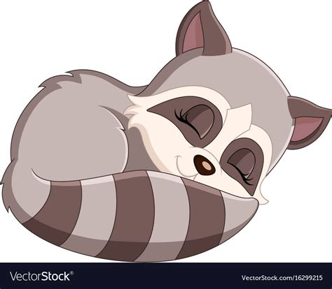 Baby raccoon cartoon Royalty Free Vector Image