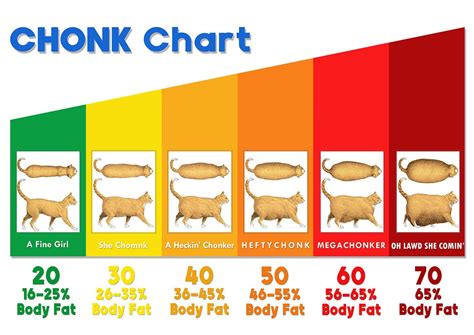 The Chonk Chart Female Cat Weight Gain Poster Veterinary Wall Art Funny