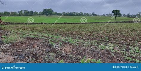 Landscape in Monsoon Season India. Stock Photo - Image of angle, indian ...