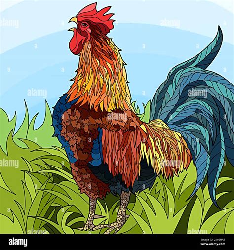 Illustration Of A Rooster Crowing Stock Photo Alamy