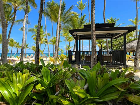 Punta Cana Photos, Download The BEST Free Punta Cana Stock Photos & HD