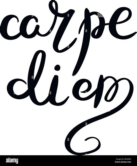 Carpe Diem Frase Letras Vector Dibujados A Mano Moderna Decoración