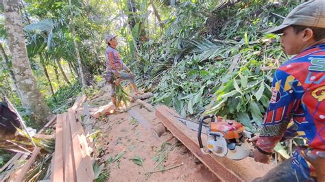 Wood Sawing Skills For Cm Blocks Stihl Ms And Ms Wood