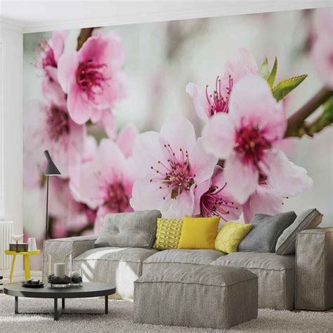 Kirschblüte Blumen Natur Fototapete Concrete Wall Murals Design