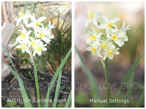 av tv camera setting modes explained click love grow