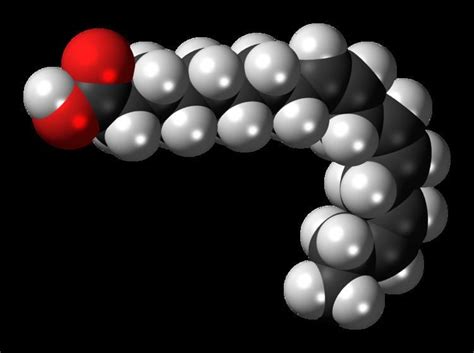 Alpha Linolenic acid - Alchetron, The Free Social Encyclopedia