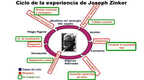 Ciclo De La Experiencia E Interrupciones Por Joseph Zinker