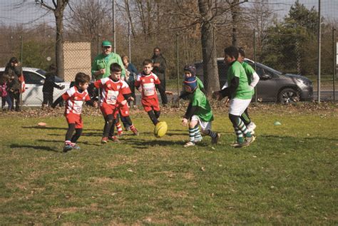 Festa Del Rugby Domenica Scorsa Oltre Centro Minirugbisti Sul Campo