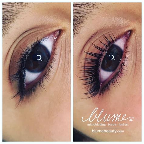 Blume Beauty Co Skin Brows Lashes