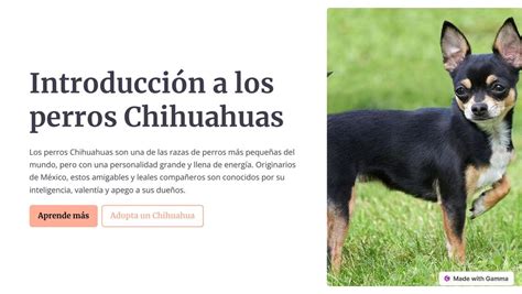 Introducción a los perros Chihuahuas Camila uDocz