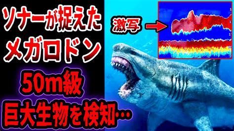 【ゆっくり解説】ソナー探知機がメガロドンを捉えた調査の結果50m級の巨大怪物を捉えた衝撃の写真が明らかにヤバすぎる証拠【パート2