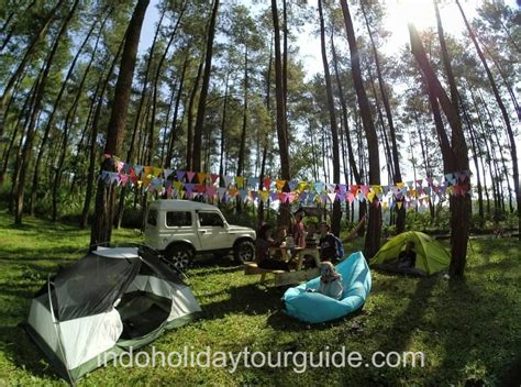 Hutan Pinus Loji Lereng Kelud Wisata Sejuk IndoHoliday