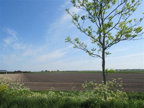 Kortgene Door Geeske Harkema Kats Vanmorgen Staat Er Een Flickr