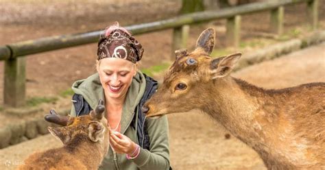 Nara Private One Day Walking Tour From Kyoto Klook